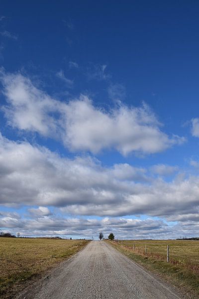 Eine verlassene Straße im Sommer von Claude Laprise