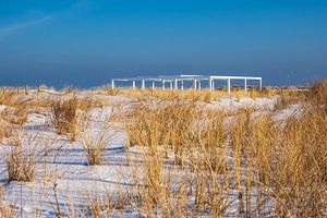 Düne an der Ostseeküste in Warnemünde im Winter