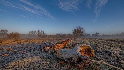 Koude heldere ochtend Dalemse veld