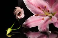 Roze bloemen met weerspiegeling by Shadia Bellafkih thumbnail