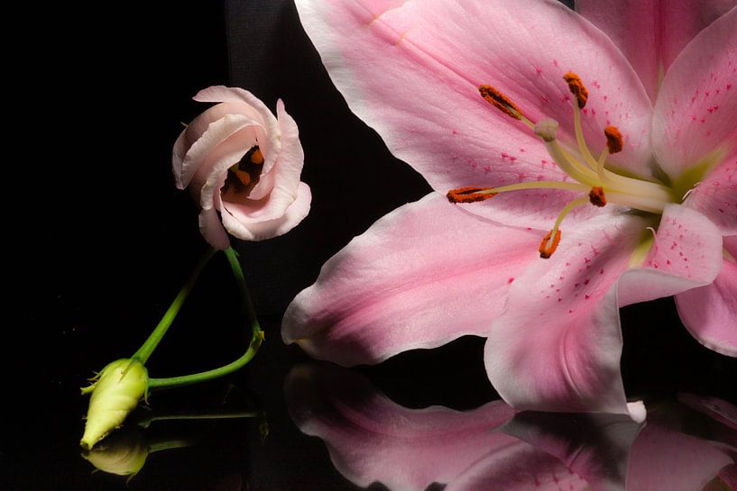 Roze bloemen met weerspiegeling by Shadia Bellafkih
