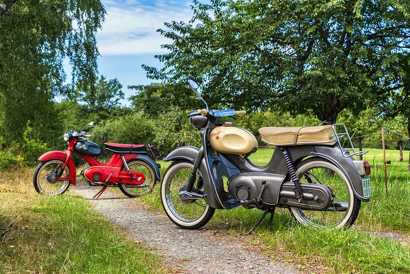 Kreidler Florett eiertank x 2 van Wilde50er