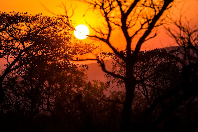 Zonsonderdang in Zuid-Afrika van Puck Bertens