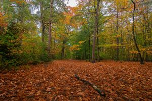 Herbst