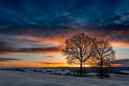 Winter Awakening - Golden Morning Glow Over Snowy Hills
