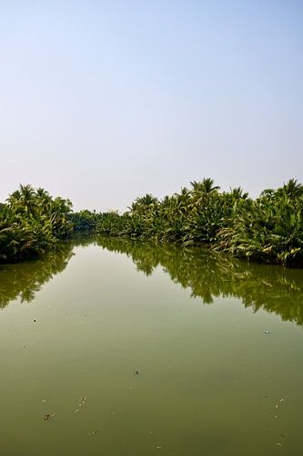 Ein tropischer Fluss, gesäumt von üppigen Palmen von Frank Photos