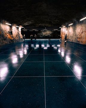 Metrostation Fridhemsplan van Jonas Röjestål