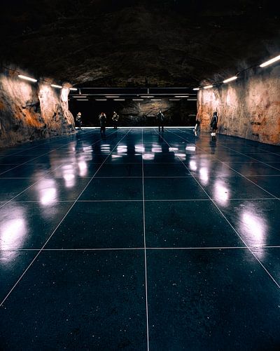 Metrostation Fridhemsplan van Jonas Röjestål