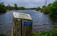 Water met Paal by Erik Bravenboer thumbnail
