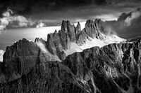 One with the alta via numero uno Dolomiti