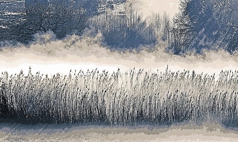 Brouillard matinal sur Reedgrass mixed media par Werner Lehmann