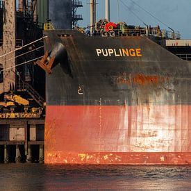A seagoing vessel is moored at the quay by scheepskijkerhavenfotografie