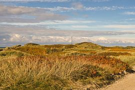 Blåvand duinlandschap in Denemarken aan de Noordzee van Martin Köbsch