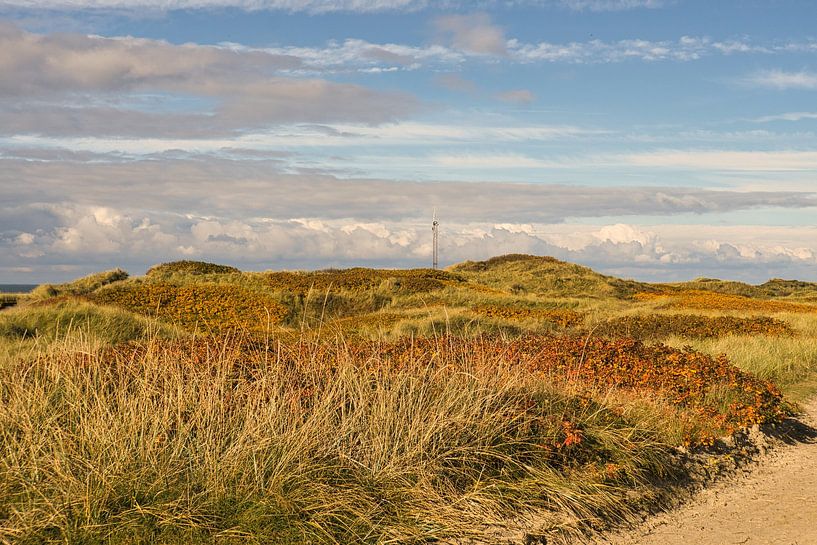 Blåvand dunes landscape in Denmark at the North Sea by Martin Köbsch