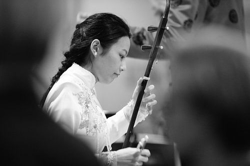 the erhu artist