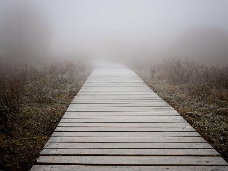 Path into the unknown by Christina Bauer Photos