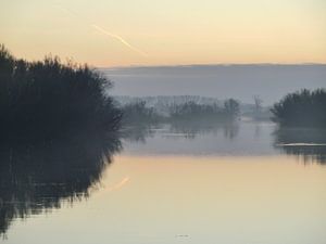 Biesbosch van Michel van Kooten