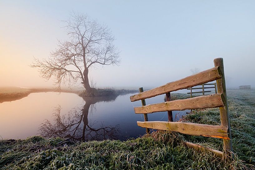 Nebliger Morgen von Halma Fotografie