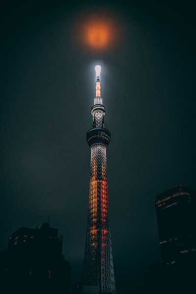 Tokyo by Hello Pompoyo