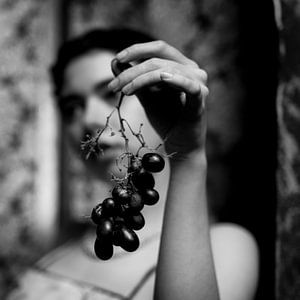 Série de photographies de nu d'art de velours