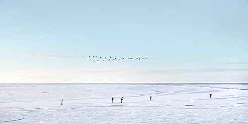 Winter landscape and skaters on the IJsselmeer near Gaast