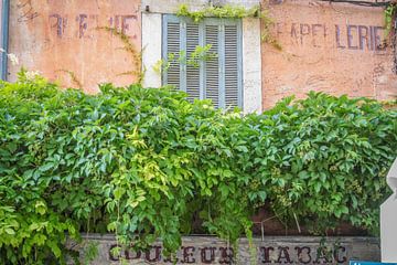 Maison envahie par le vin sauvage dans le village de Bonnieux sur Christian Müringer