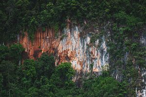 Khao Sok Karstgebirge von Ronne Vinkx