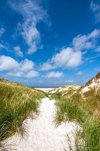 Sentier de plage idyllique sur l'île d'Amrum en mer du Nord