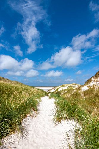 Sentier de plage idyllique sur l'île d'Amrum en mer du Nord sur Reiner Würz / RWFotoArt