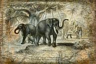 Elefanten Nostalgie van Andrea Haase thumbnail