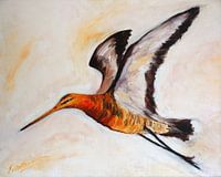 Grutto vliegend - schilderij 