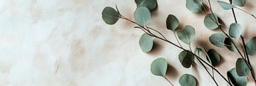 Eucalyptus takken van Poster Art Shop