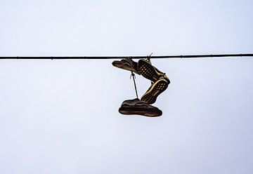 Oude sportschoenen op een hoogspanningslijn in de lucht Levenskunst van Animaflora PicsStock
