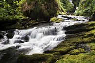 O'Sullivans Cascade waterfall van Eddo Kloosterman thumbnail