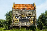 graffiti in the open