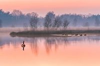 Un magnifique coucher de soleil à Dwingelderveld