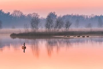 Een prachtige zonsondergang in Dwingelderveld van Bea Budai