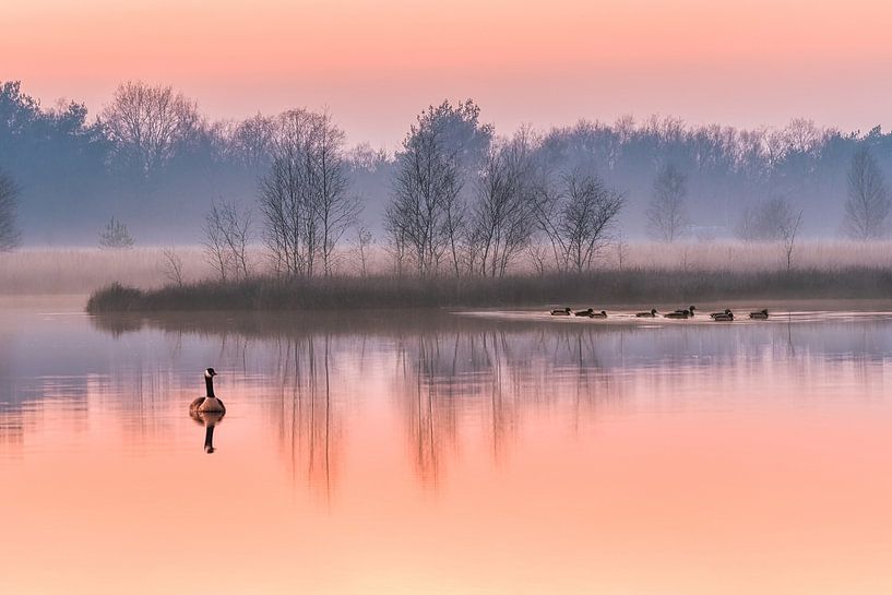 A beautiful sunset in Dwingelderveld by Bea Budai