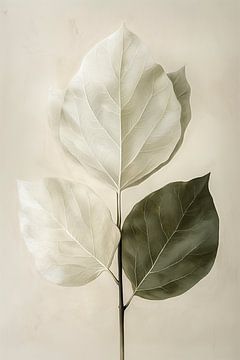 Sereen blad - Japandi stijl - 3 - groen van Marianne Ottemann - OTTI