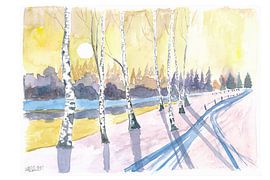 Scène de promenade hivernale scandinave avec neige et forêt de bouleaux