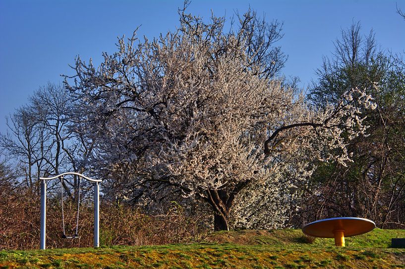 Arbres de printemps par Edgar Schermaul