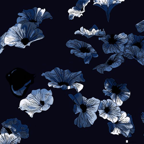 Nightflowers by Ronald Veelenturf