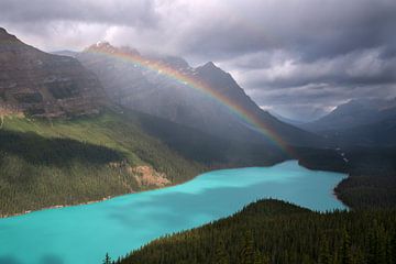 Peyto Lake, Icefield Parkway, Banff National Park, Alberta, Canada van Alexander Ludwig