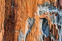 Kleiner Fels ganz groß