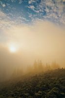 Lusen summit in the fog