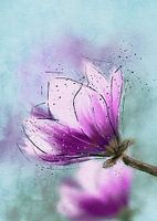 Magnolia