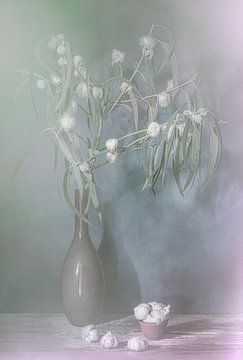 La lueur de l'hiver. Nature morte à l'eucalyptus. sur Saskia Dingemans Awarded Photographer