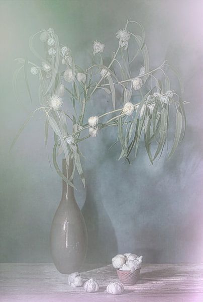 Winter glow.  Awarded Stilleven met eucalyptus  in wittinten . van Saskia Dingemans Awarded Photographer