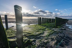 Wellenbrecher Strand Zoutelande