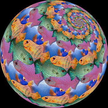 Fish Sphere Surface van Tis Veugen